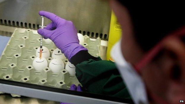 Scientist Rebecca Gardener conducts a display of egg inoculation on Tuesday November 8, 2005.