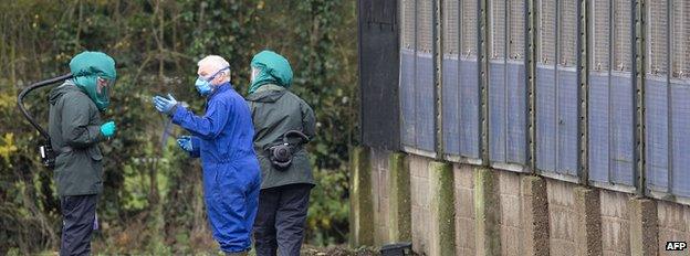 Specialists in protective clothing at duck breeding farm in Nafferton, East Yorkshire