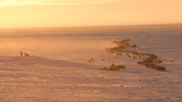 Nenet reindeer herders on the remote Yamal Peninsula in Northern Siberia