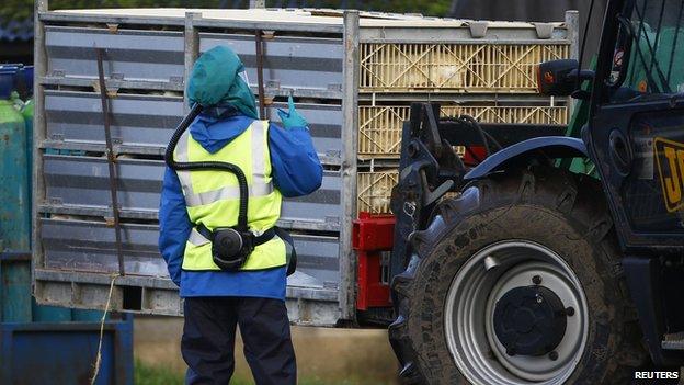 Defra officials work at a duck farm in East Yorkshire