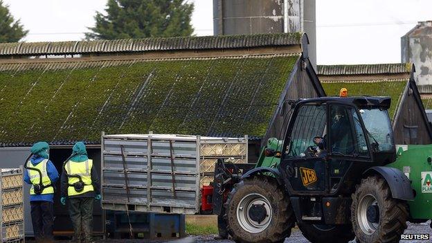 Defra officials work at a duck farm in East Yorkshire