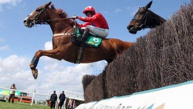 Sire De Grugy at Sandown