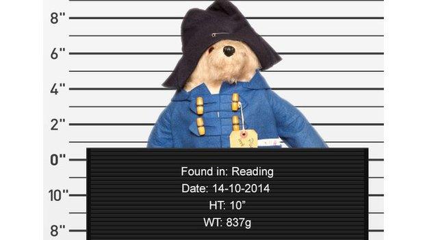 Paddington bear