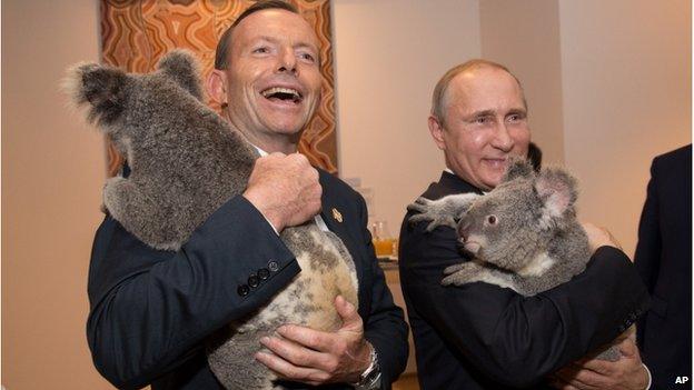 In this photo released by G20 Australia and taken on Saturday 15 Nov 2014, Prime Minister of Australia Tony Abbott and President of Russia Vladimir Putin hold koala"s during a photo opportunity on the sidelines of the G-20 summit in Brisbane, Australia