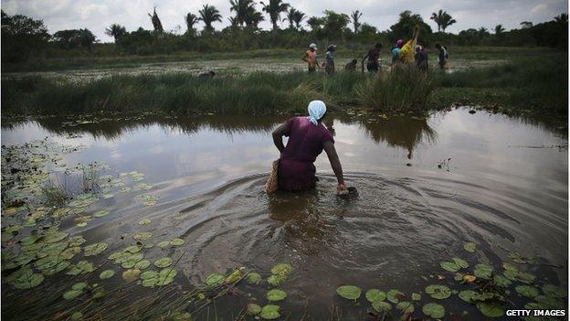 MARANHAO STATE, BRAZIL - NOVEMBER 21: Afro-Brazilians fish with traditional methods practiced for centuries in a wetland area of a deforested section of the Amazon basin on November 21, 2014 in Maranhao state, Brazil.