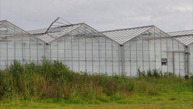 Vinery site in Guernsey