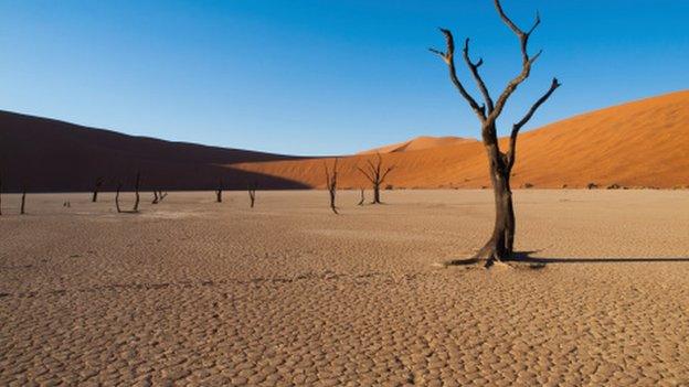 Namib desert