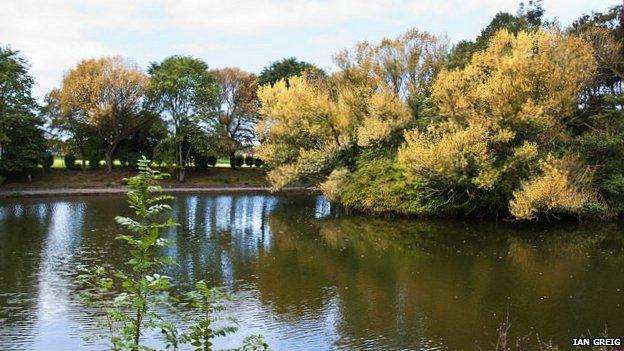 Walton Hall Park lake and trees