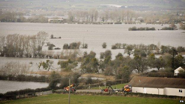 Somerset Levels, near Burrowbridge