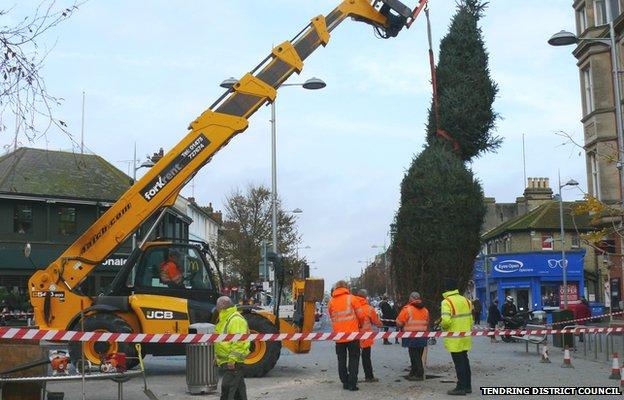 Christmas tree is put into place