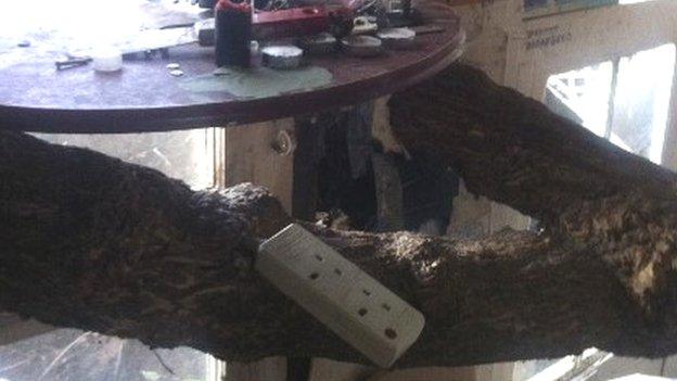 Electricity through a tree branch