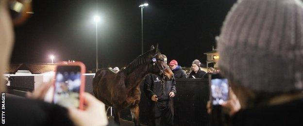 Frankel fans take snaps of a foal under the floodlights