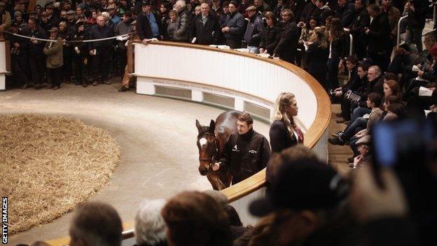 Lot Number 1103 walks around the sale ring with his stud hand