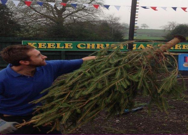 Christmas tree-throwing competition