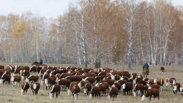 Ukrainian farm