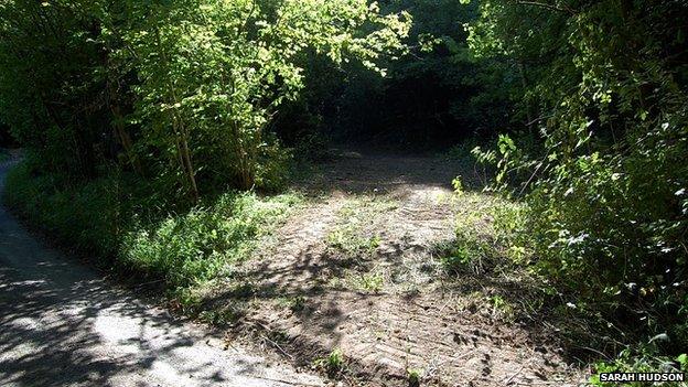 Damage at Hendover Coppice