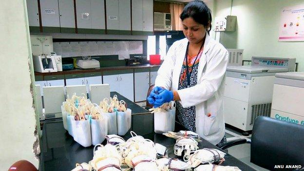 Laboratory worker with blood bags at the Rotary Blood Bank