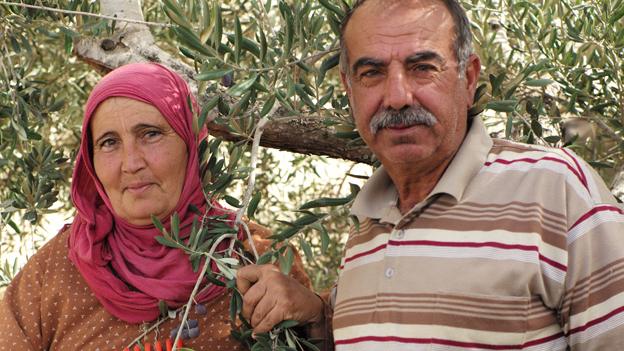 Palestinian olive farmers