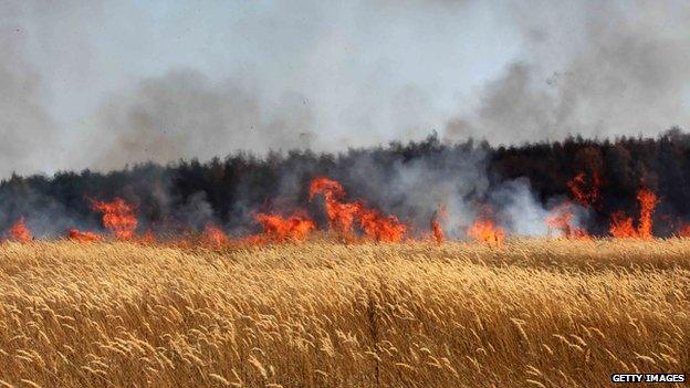 Fires in a Russian wheat field