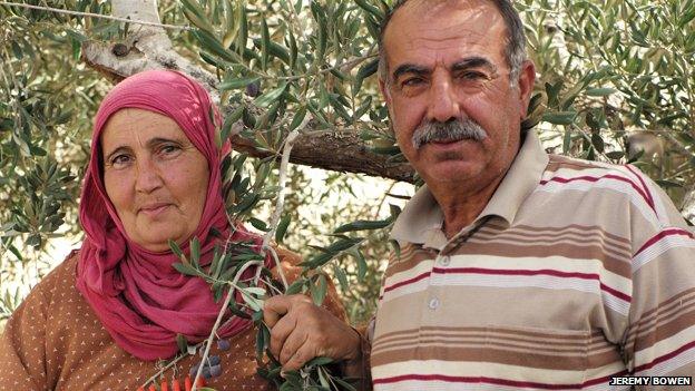 Palestinian olive farmers