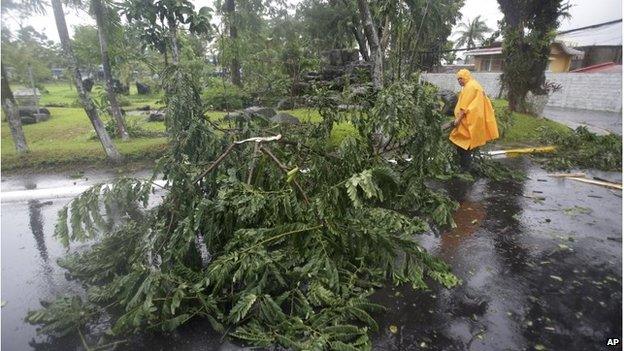 Policeman moves a fallen tree in Legazi (7 Dec 2014)