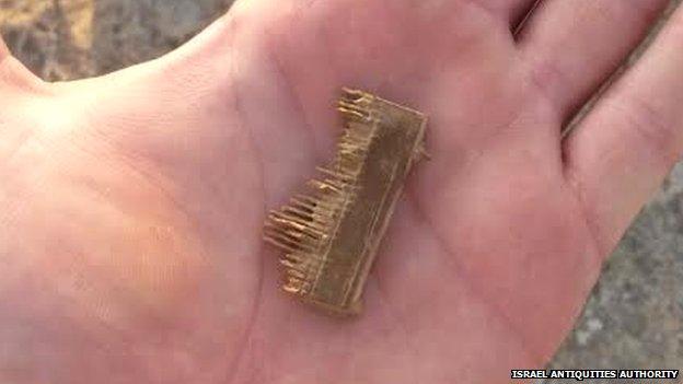 Lice comb found with robbers near Dead Sea