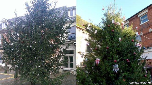 Old and new trees, Oakham