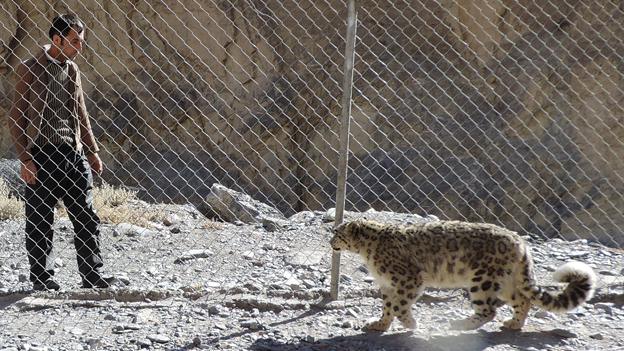 The leopard and her keeper