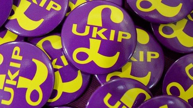 UKIP badges