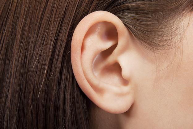 ear