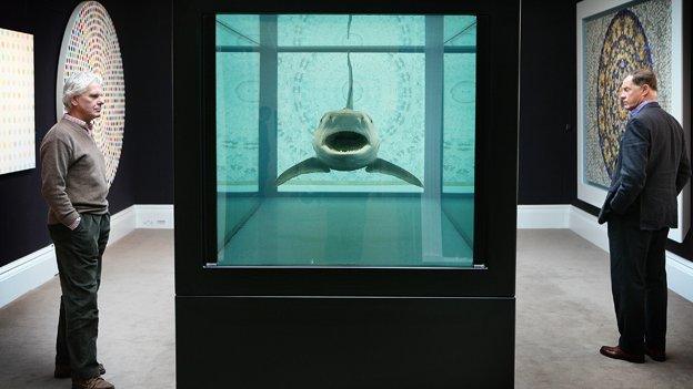 Hirst's Shark