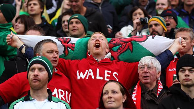 Welsh rugby fan