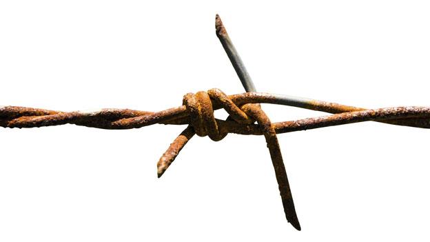 Barbed wire