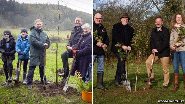 Tree planting in Dreghorn Woods, Scotland and Brackfield Wood, Northern Ireland