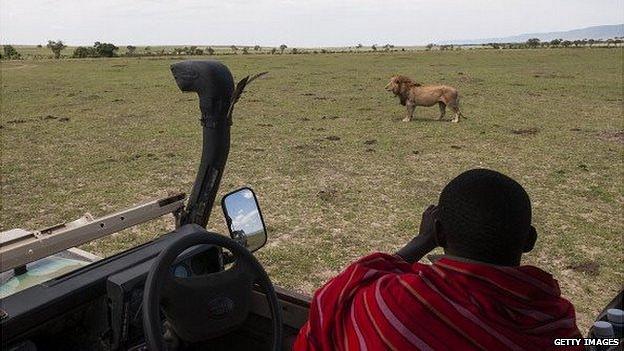 Maasai safari tour