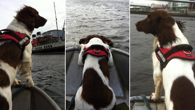 Barra training on the Clyde