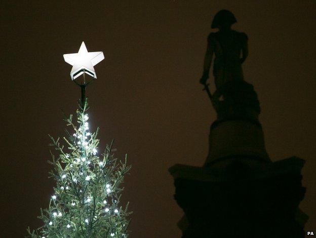 Top of the Trafalgar Square Christmas tree with a star on top