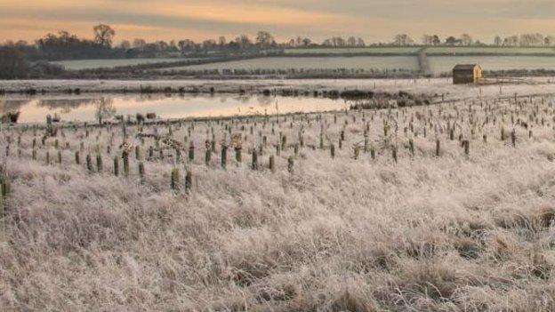 Newly planted woodland and bird hide