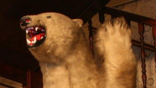 A stuffed polar bear