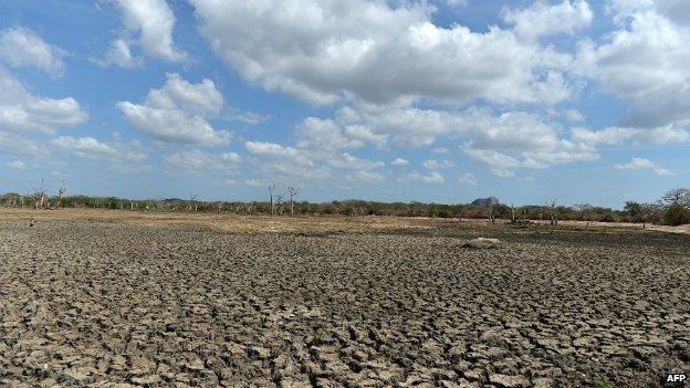 A dried up irrigation reservoir in the Yala national park in Sri Lanka - 11 September 2014