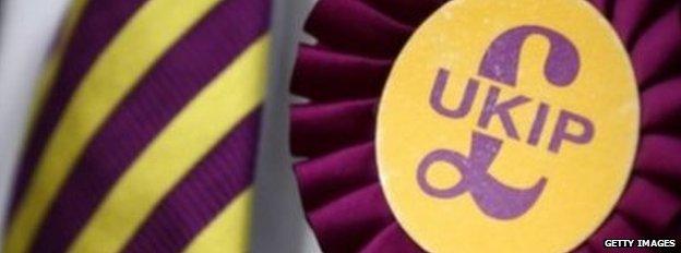 UKIP rosette