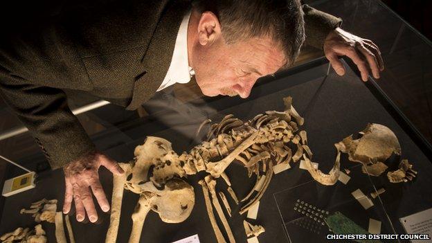 Man studying Racton Man skeleton