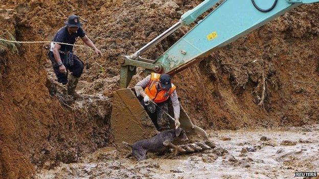 An Indonesian policeman and search dog at the scene of a deadly landslide