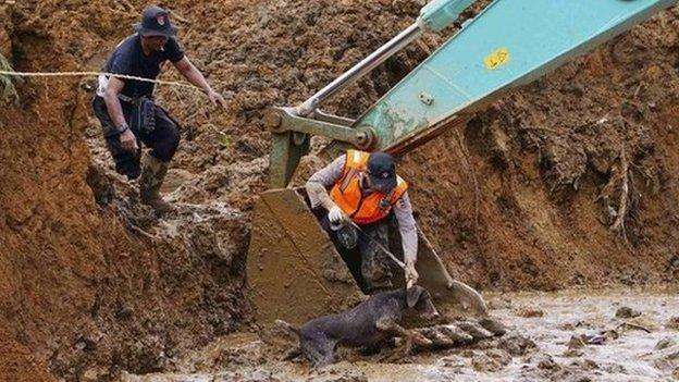 An Indonesian policeman and search dog at the scene of a deadly landslide