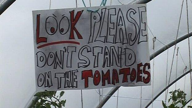 'Do not stand on the tomatoes' sign