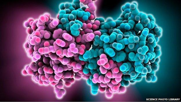 Molecular model of parts of the Ebola virus