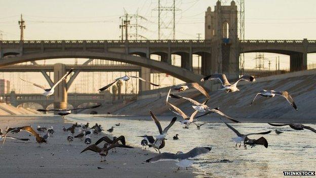 LA River