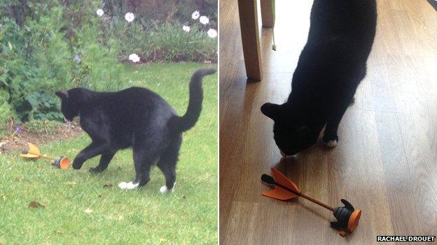 Theo and a rubber dart