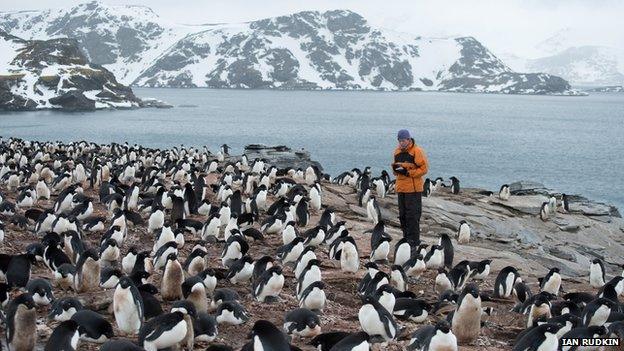 Stacey Adlard with Adelie penguins on Signy Island