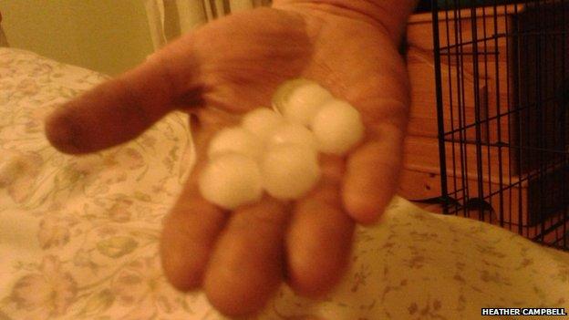 Hailstones that fell over Ness on Lewis